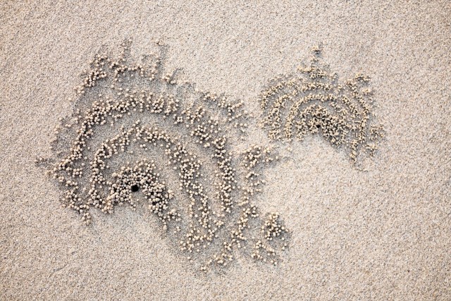 Sedimente radiale "aranjate" de un mic tip de crab, ce isi face aparitia la reflux, pe plajele indoneziene, Jimbaran, Bali